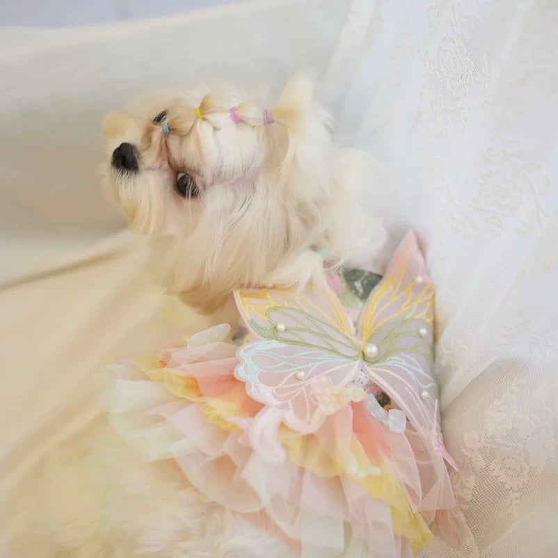 Butterfly Decor Sweet Dog Cat Lace Dress