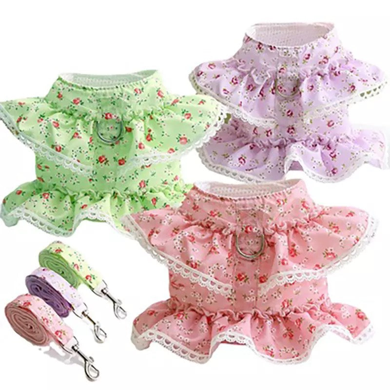 Floral Lace Dog Harness With Leash