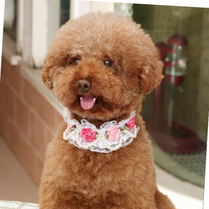 Flower Decor Lace Dog Cat Collar