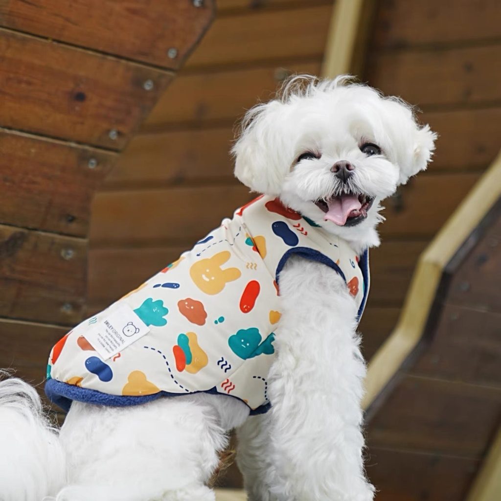 Reversible Cartoon Printed Dog Jacket Vest