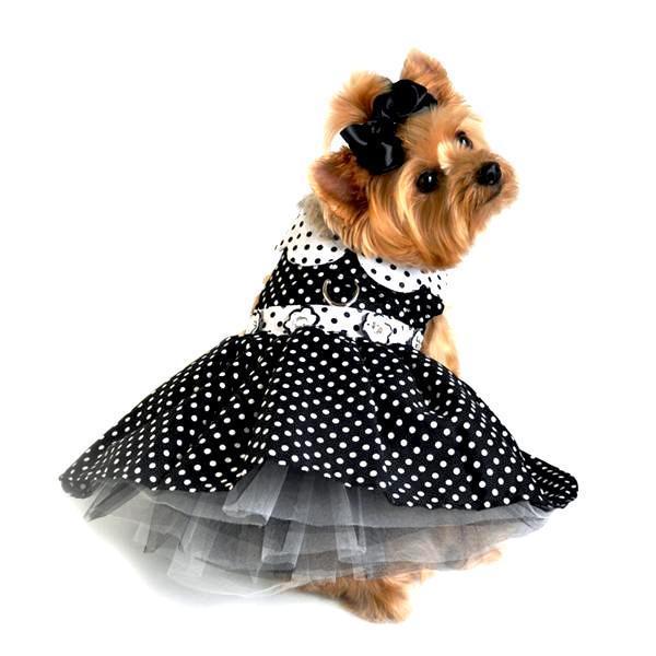 Black And White Polka Dot Dog Dress With Matching Leash