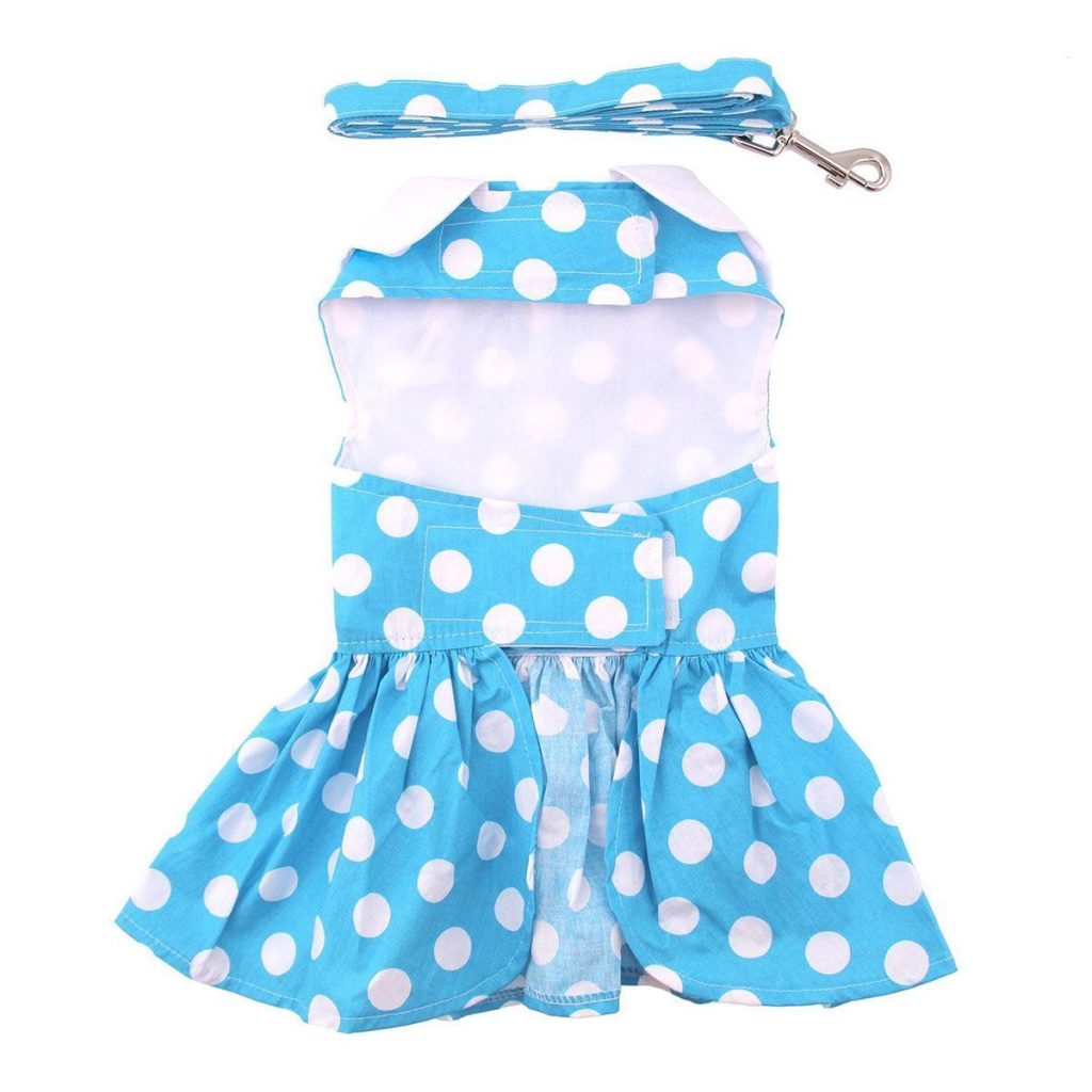 Blue Polka Dot Dog Dress/Matching Leash