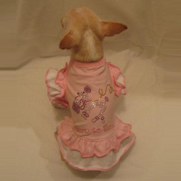 Born To Shop Dog Dress