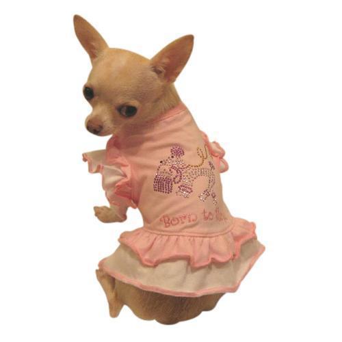 Born To Shop Dog Dress