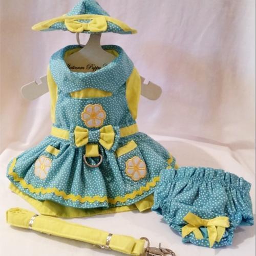 Crazy Daisy Dog Harness Dress Set