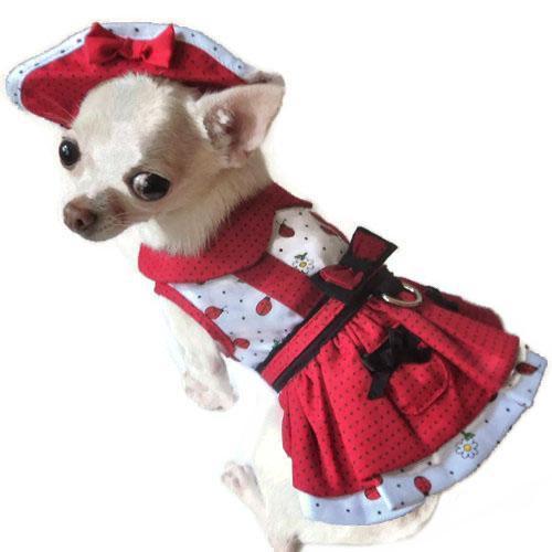 Daisy Bug Dog Harness Dress Set