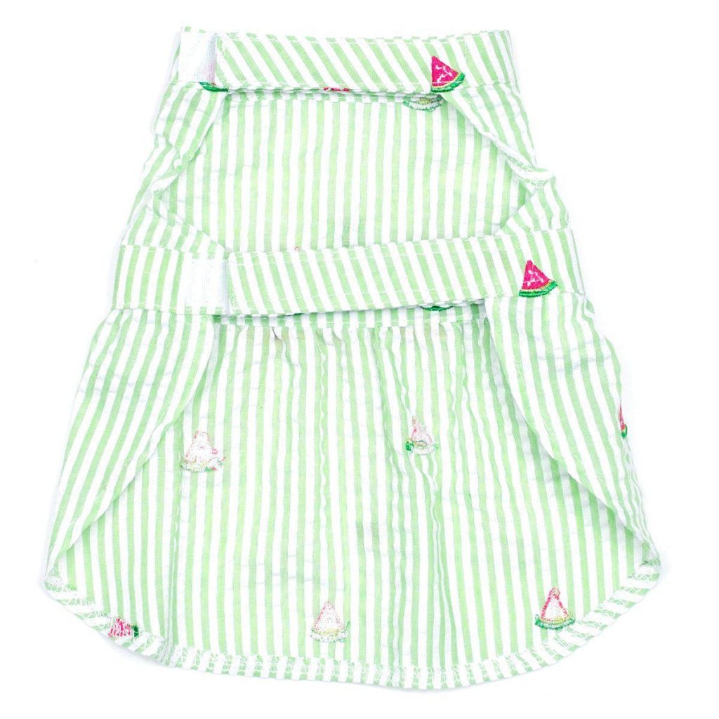 Green Stripe Watermelon Woven Dog Dress