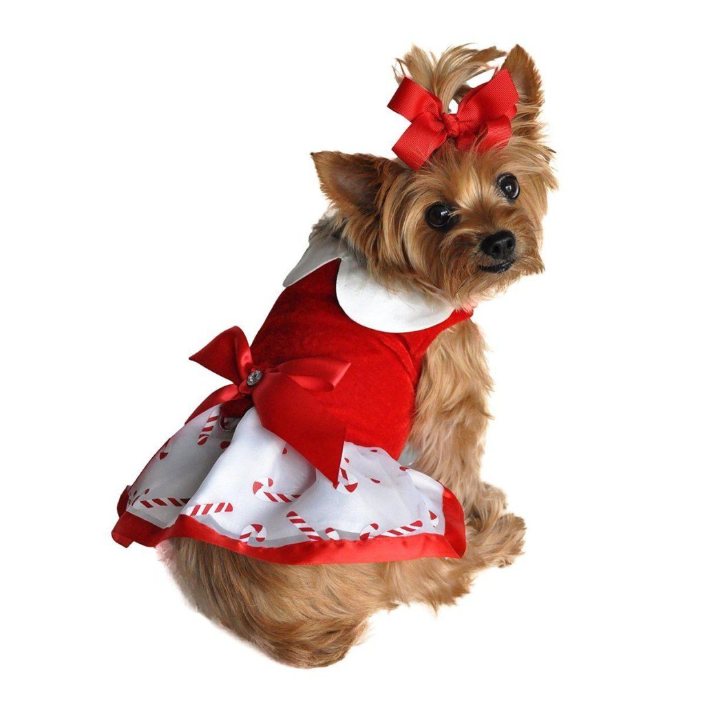 Holiday Dog Harness Dress Candy Canes