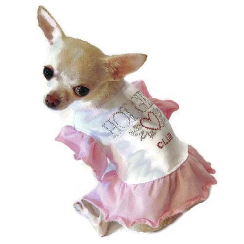 Hot Girls Club Dog Dress