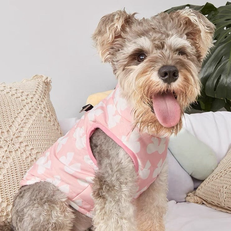 Bowknot Printed Warm Pet Jacket Vest