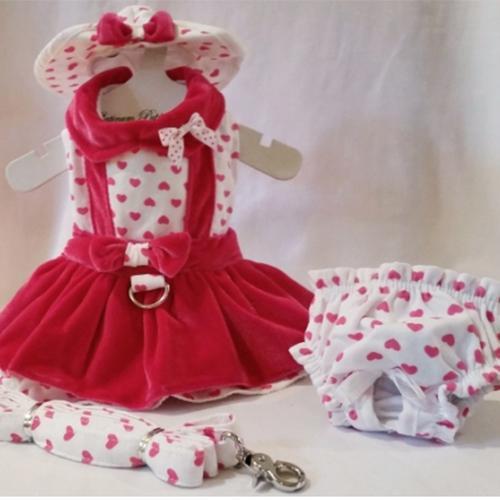 Lady Love Dog Harness Dress Set