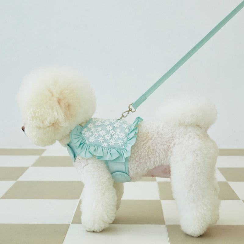 Floral Mesh Dog Harness With Leash