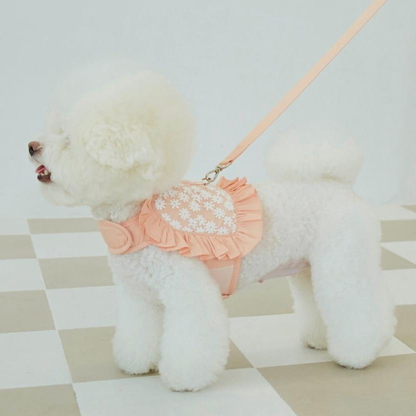 Floral Mesh Dog Harness With Leash