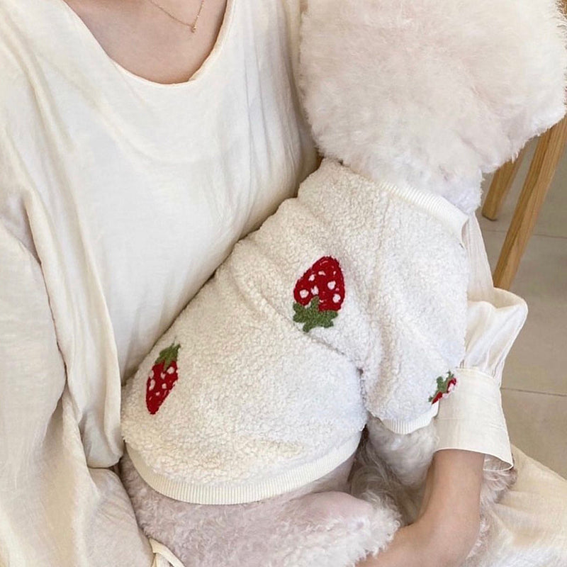 Strawberry Printed Fleece Dog Cat Sweater