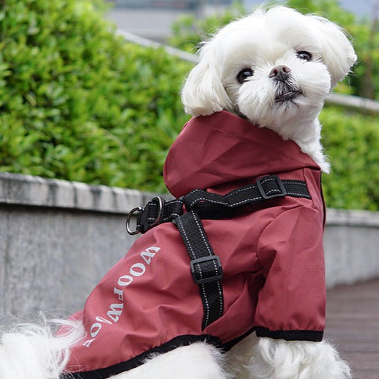 Waterproof Letter Printed Dog Harness Raincoat