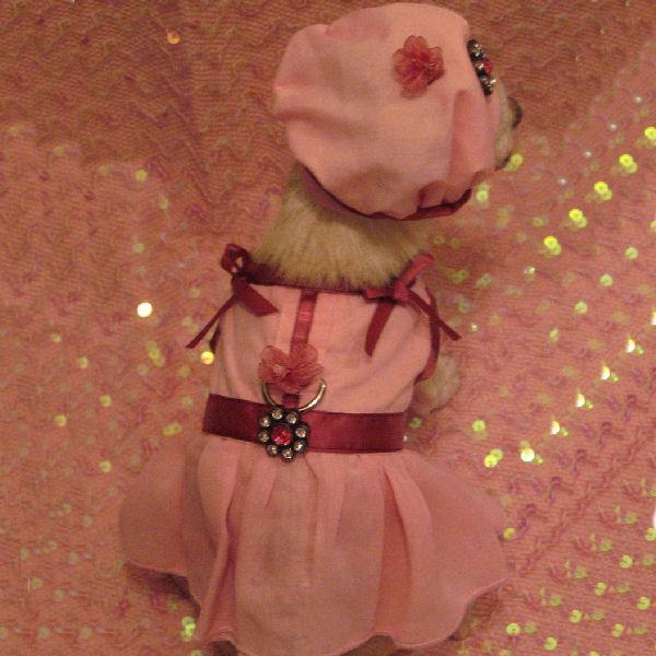 Pink Flirt Dog Harness Dress Set