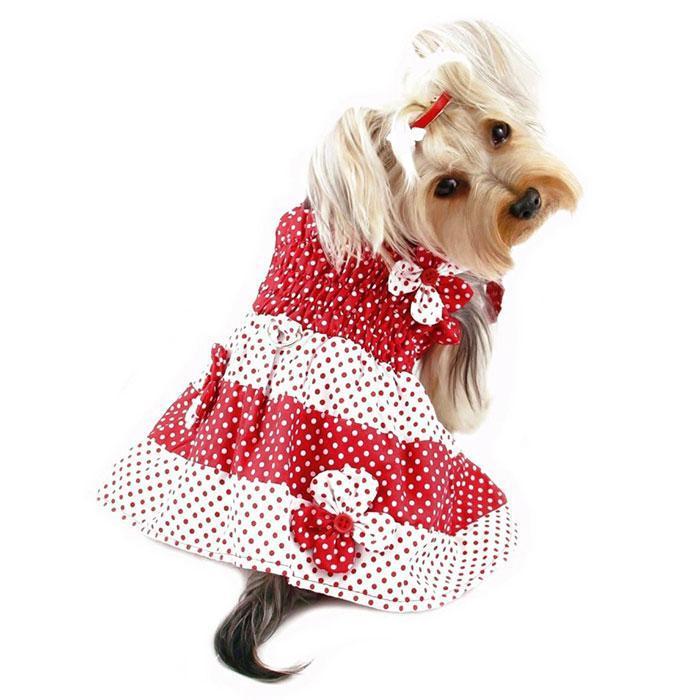 Red And White Polka Dot Dog Sundress