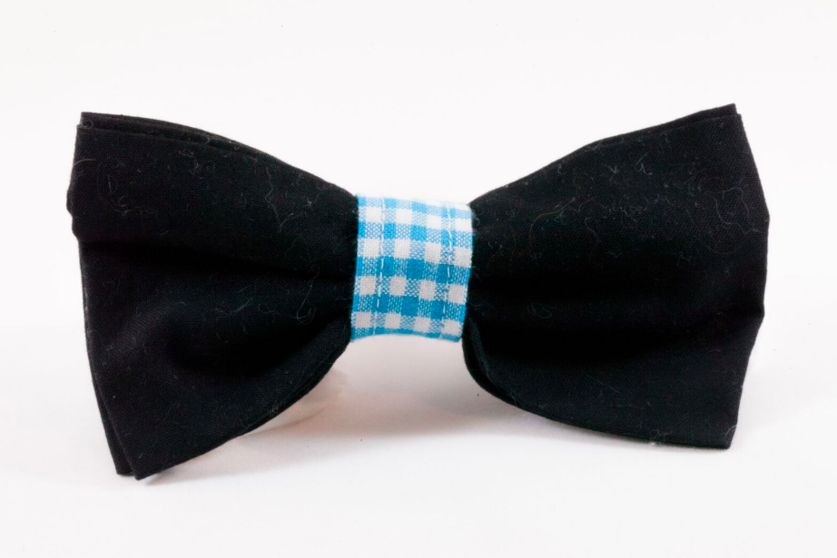 Carolina Panthers Black And Blue Dog Bow Tie