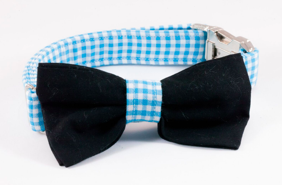 Carolina Panthers Black And Blue Dog Bow Tie Collar