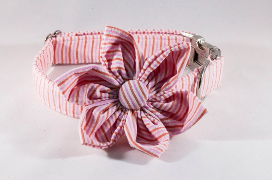 Preppy Pink And Orange Sherbet Seersucker Girl Dog Flower Bow Tie Dog Collar