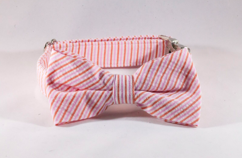 Preppy Pink And Orange Sherbet Seersucker Bow Tie Dog Collar