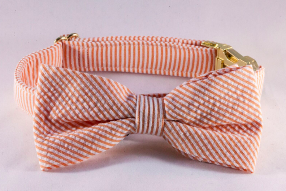 Preppy Orange Seersucker Bow Tie Dog Collar