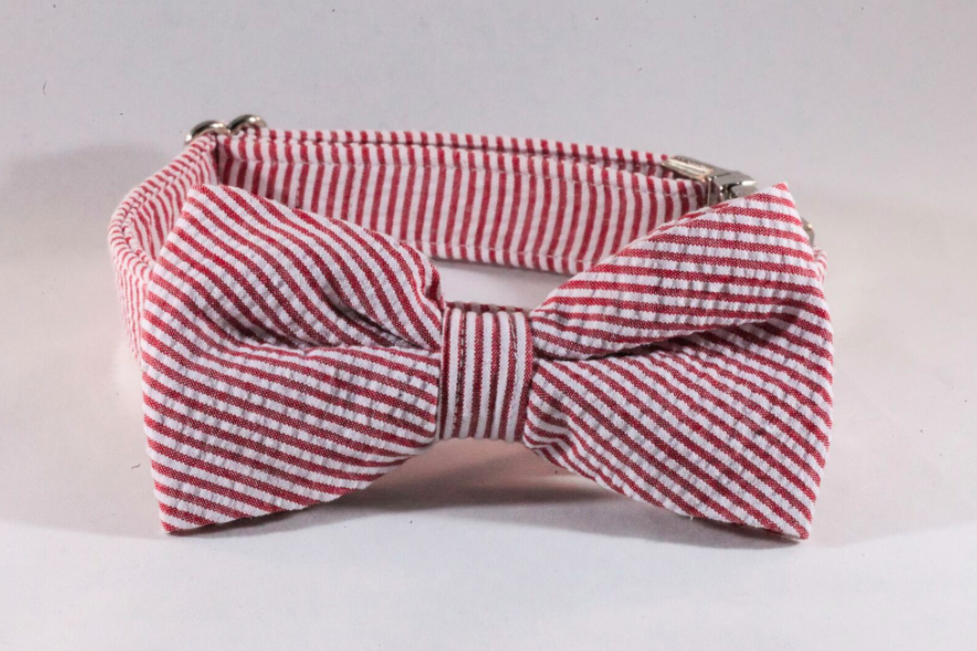 Preppy Red Seersucker Bow Tie Dog Collar