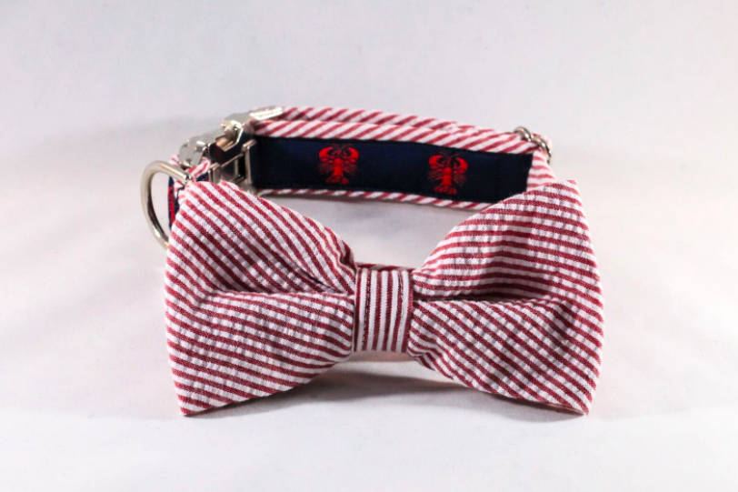 Preppy Seersucker Lobster Bow Tie Dog Collar