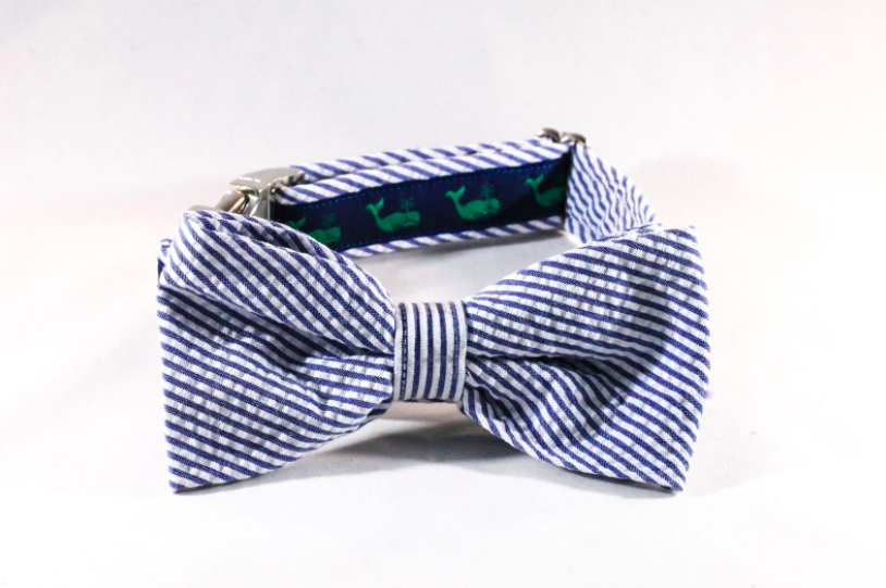 Seersucker Navy Blue Nantucket Whale Bow Tie Dog Collar