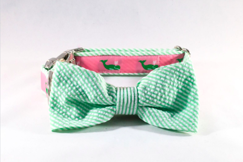 Seersucker Pink And Green Nantucket Whale Bow Tie Dog Collar