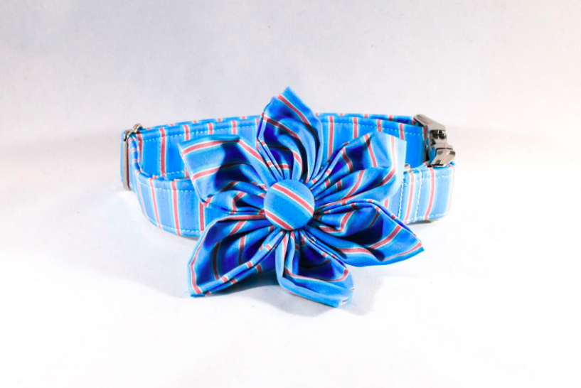 Preppy Aqua And Coral Seaside Stripes Girl Dog Flower Bow Tie Collar