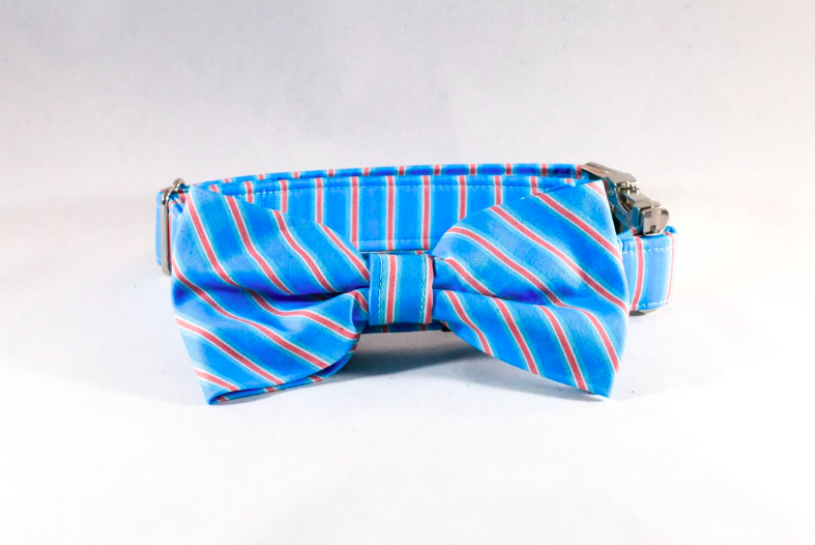 Preppy Aqua And Coral Seaside Stripes Dog Bow Tie Collar