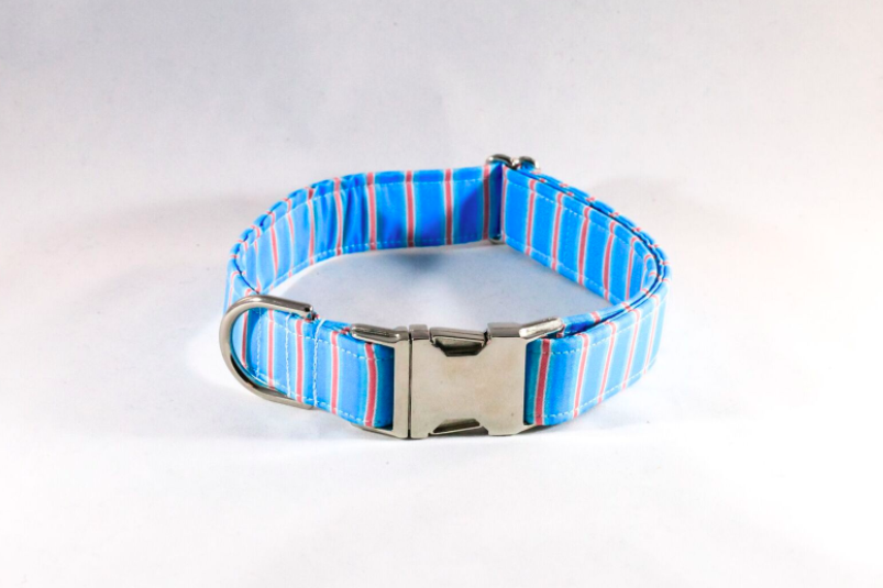 Preppy Aqua And Coral Seaside Stripes Dog Collar