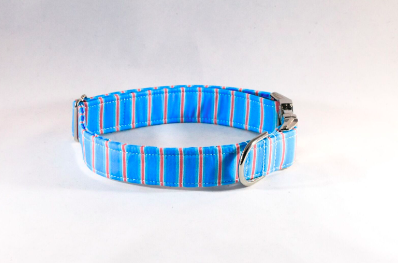 Preppy Aqua And Coral Seaside Stripes Dog Collar