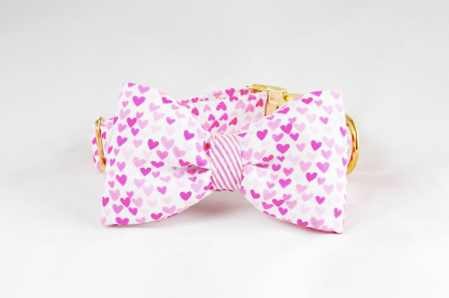 Preppy Pup Pink Seersucker And Hearts Valentine’s Day Dog Bow Tie Collar