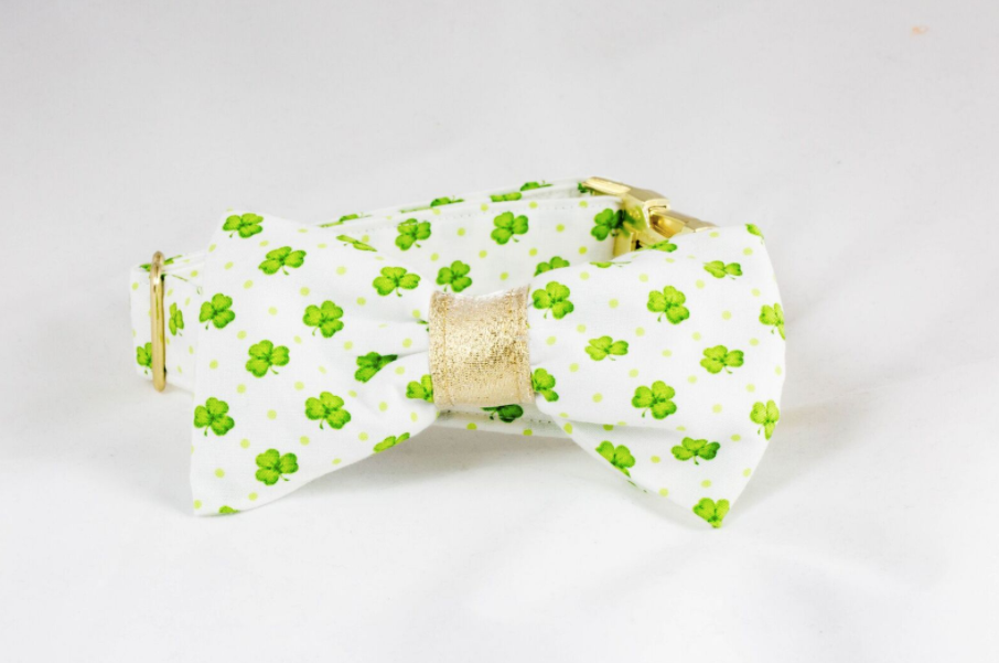 Luck Of The Irish St. Patrick’s Day Green And Gold Clover Bow Tie Dog Collar