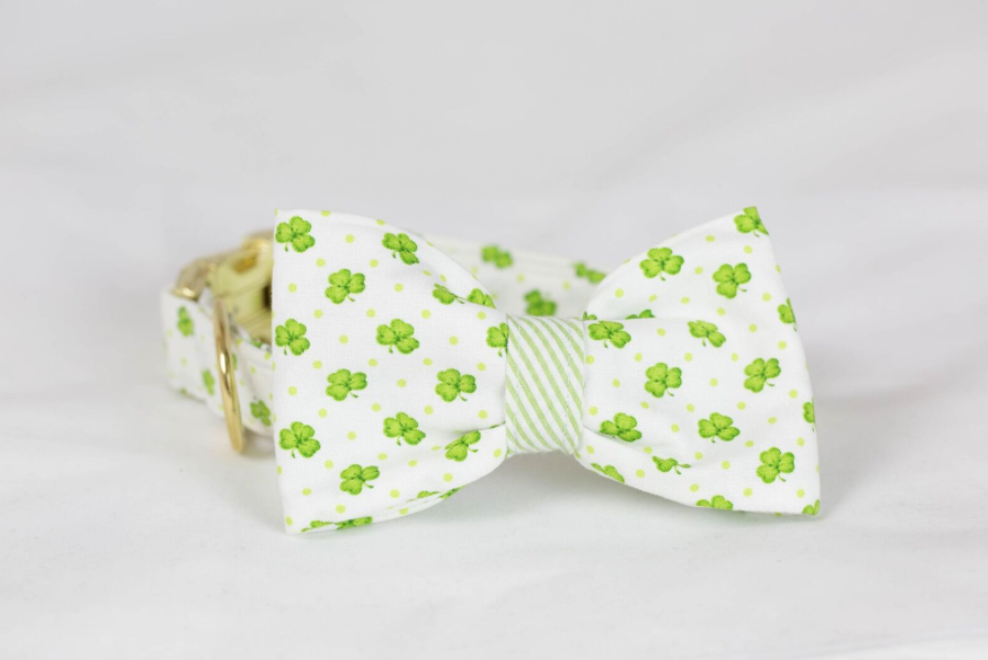 Luck Of The Irish St. Patrick’s Day Green Seersucker Clover Bow Tie Dog Collar