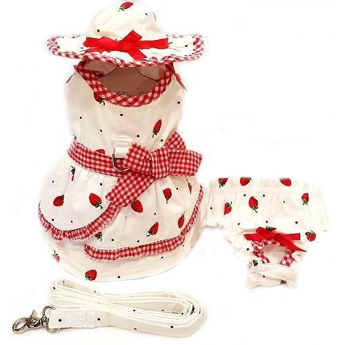 Strawberries And Cream Dog Harness Dress Set