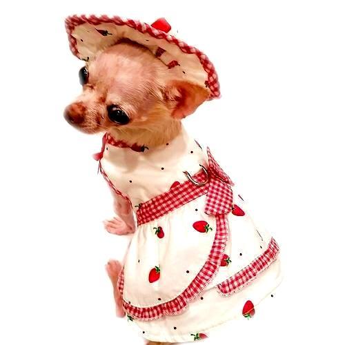 Strawberries And Cream Dog Harness Dress Set