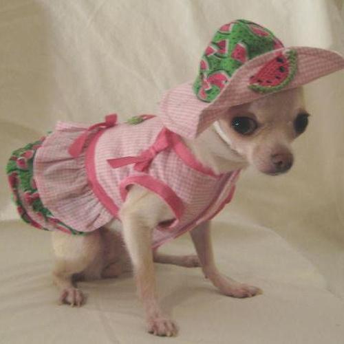 Sweet Watermelon Dog Harness Dress Set