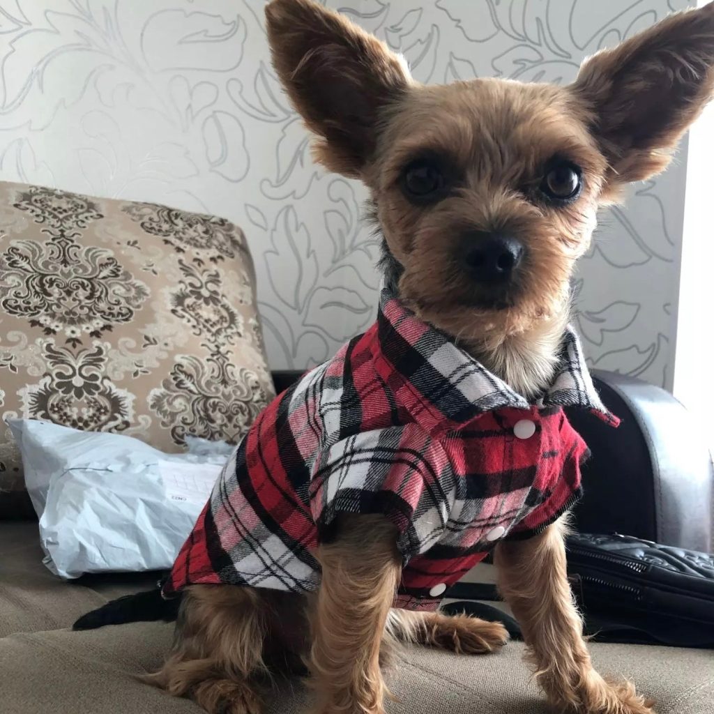 Plaid Pattern Clothes For Dogs