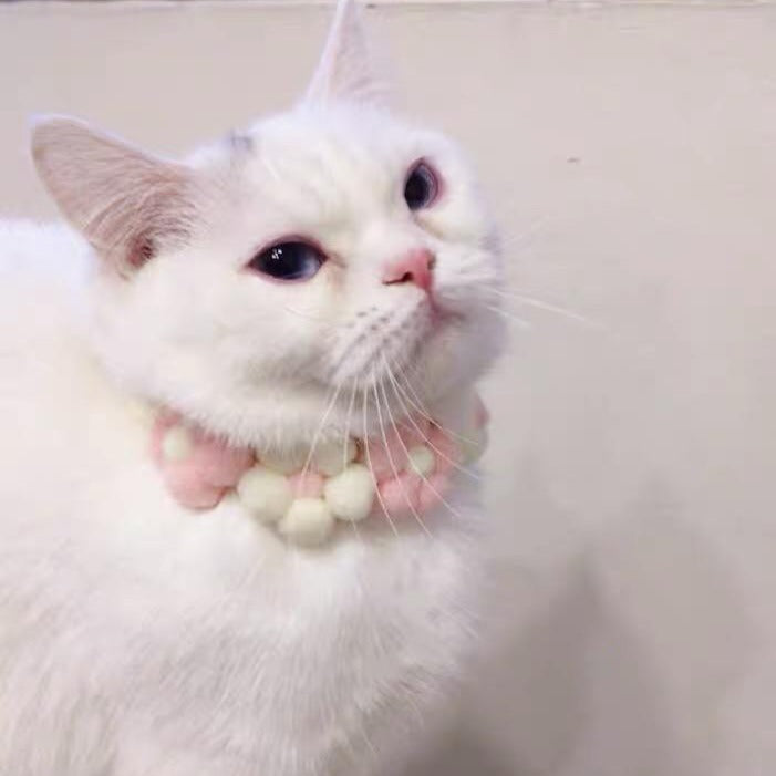 Knitted Flower Cat Dog Collar