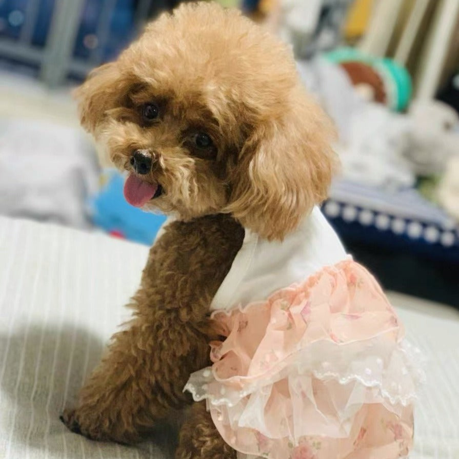 Princess Lace Layered Dog Cat Dress