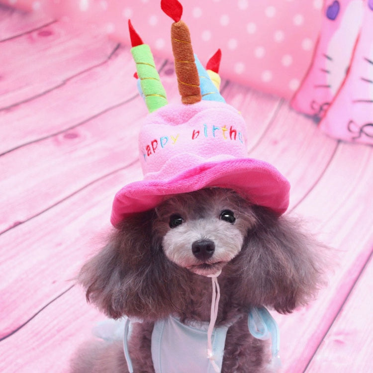 Cute Dog Cat Birthday Hat