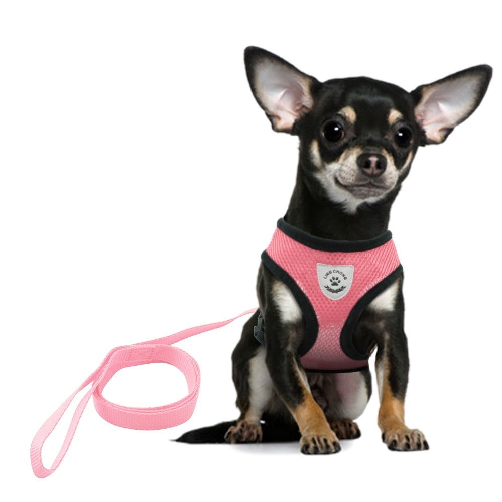 Breathable Dog Harness And Leash