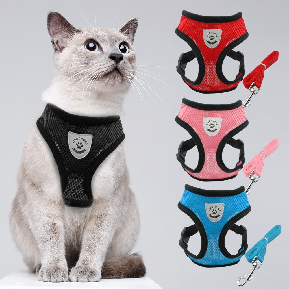 HARNESSES