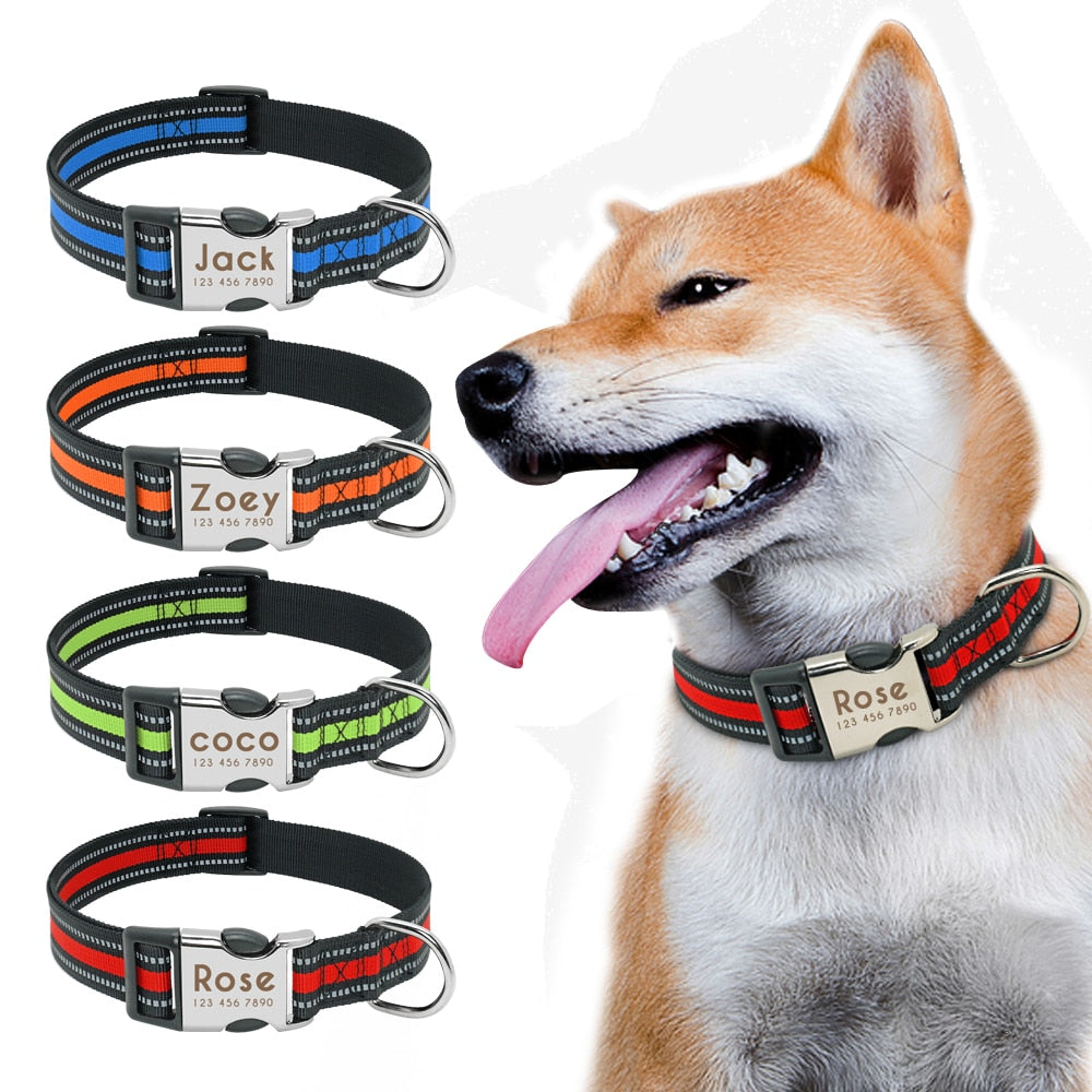 Dog Collar With Personalized ID Tag