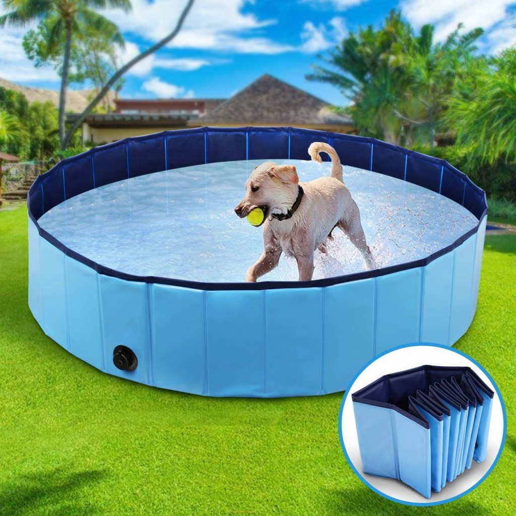 Foldable Swimming Pool For Dog