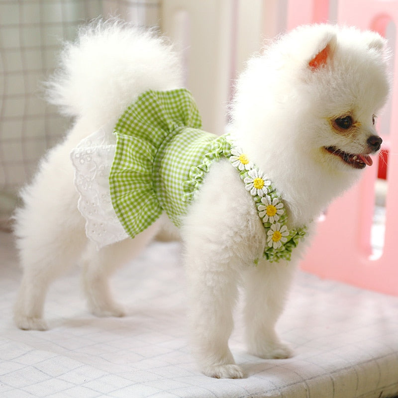 Daisy Plaid Pattern Dog Cat Dress