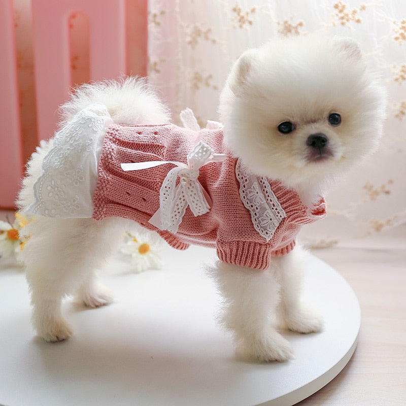 Lace Bowknot Dog Wool Dress